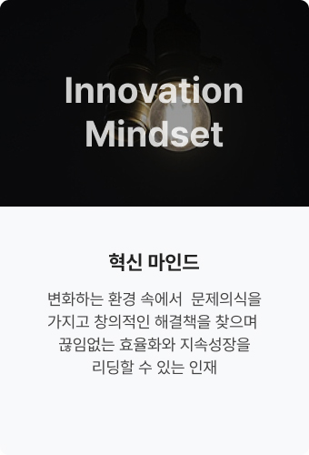 Innovation Mindset
                             혁신 마인드. 변화하는 환경 속에서 
                            문제의식을 가지고 
                            창의적인 해결책을 
                            찾으며 끊임없는 
                            효율화와 지속성장을 
                            리딩할 수 있는 인재